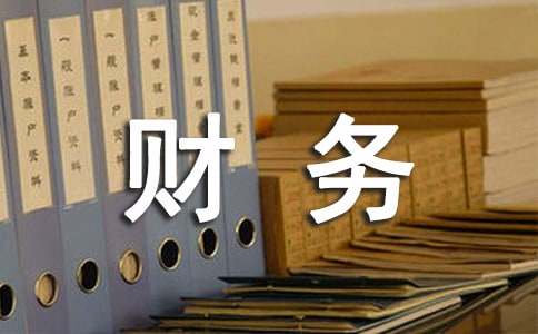 財務(wù)負責(zé)人年終述職報告