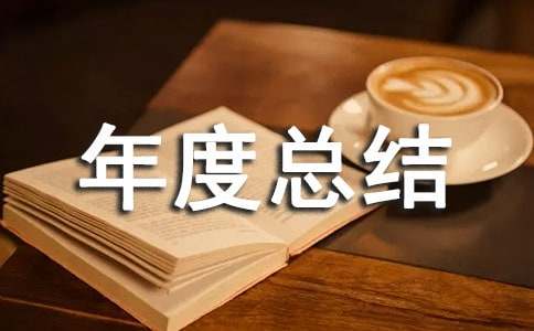 個(gè)人年度總結(jié)與計(jì)劃