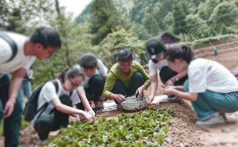 三下鄉(xiāng)社會實踐報告