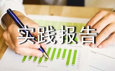 社會實踐報告