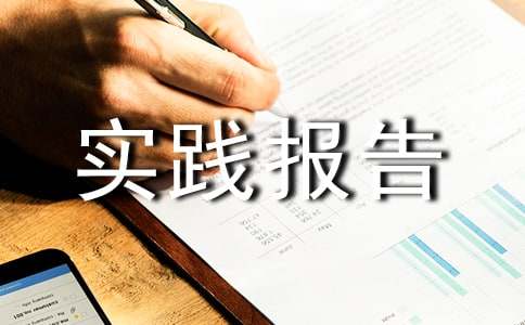 高中生社會實踐報告