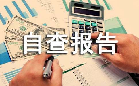 中學(xué)安全工作自查報告